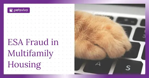 ESA Fraud in Multifamily Housing: How to Spot It and What to Do