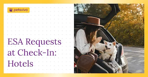 ESA Requests at Check-In: How Pet-Friendly Hotels Should Respond