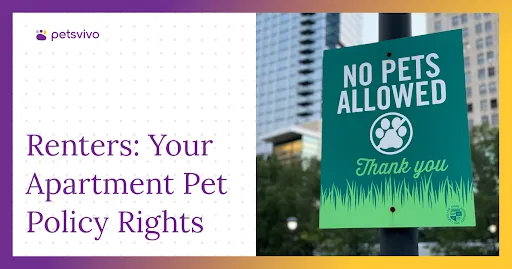 Your Apartment Pet Policy Rights: What Renters Need to Know