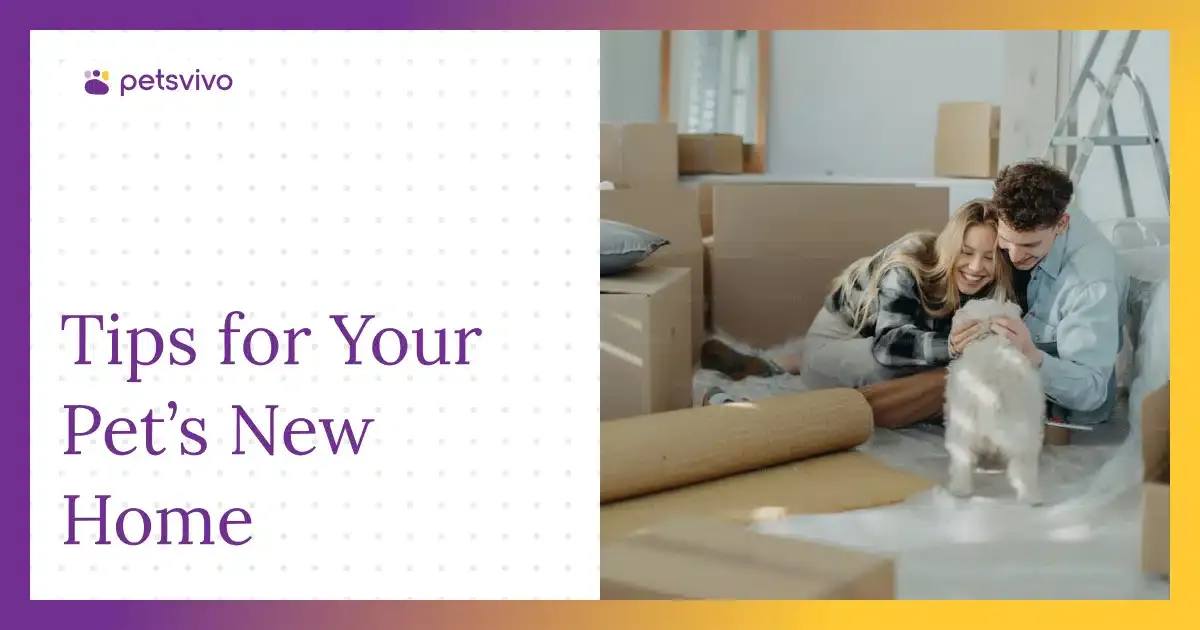 Moving to a New Apartment With Pets: How to Help Them Adjust