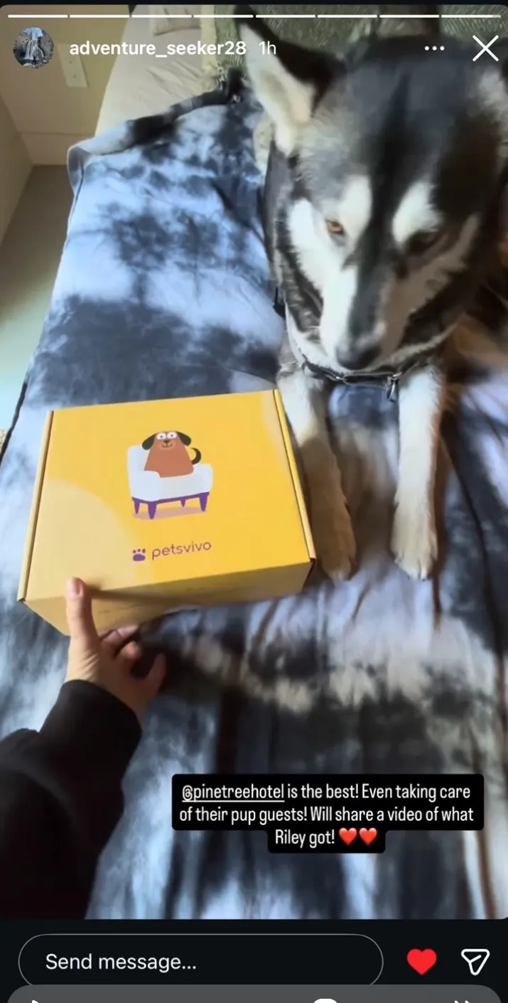 Instagram story from a guest with their husky beside a PetsVivo box, tagging the hotel
