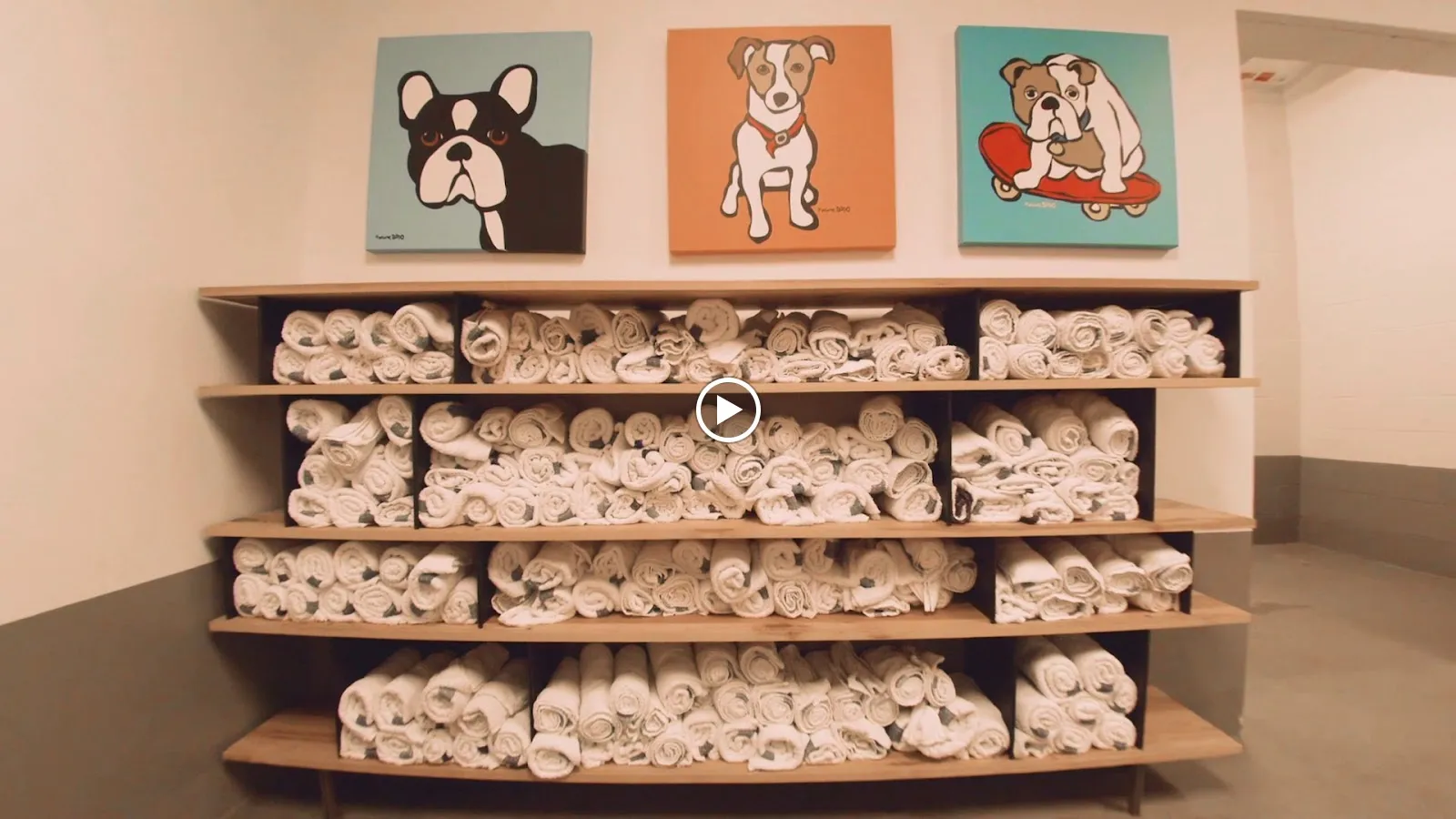 amenities-towelshelf