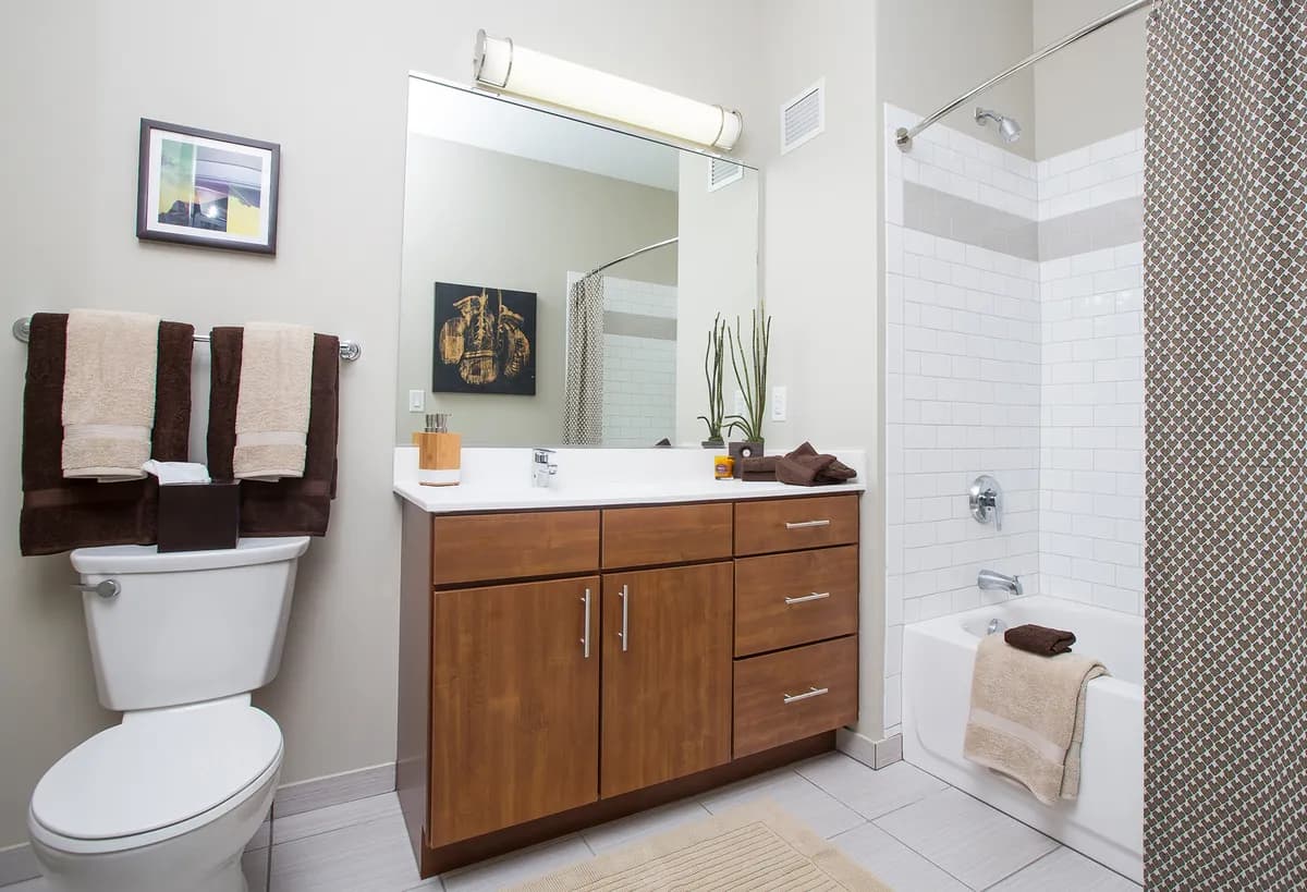 bathroom-tubshower